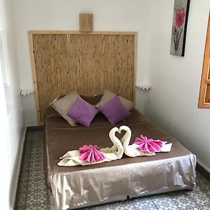 Superior Kamer met een King Size Bed
